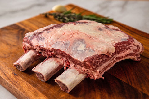 Dino Short Ribs