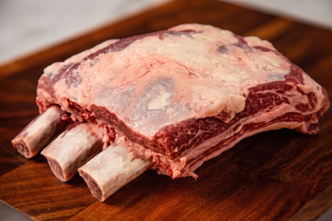 Dino Short Ribs